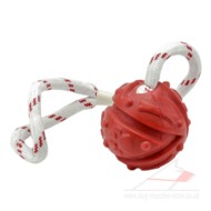 Dog Dental Care and Tug Play Rubber Dog Ball on Rope Dog Dental Care and Tug Play Rubber Dog Ball on Rope