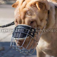 Super Ventilated Shar Pei Muzzle that Allows Drinking