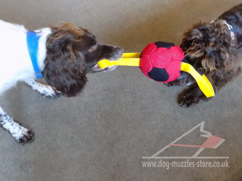 Dog Ball with Handles for 2 Dogs