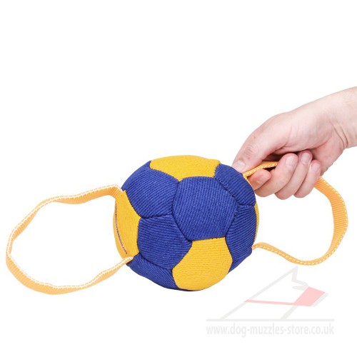 soft dog soccer ball