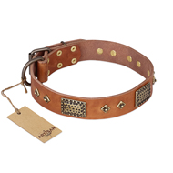 Fantastic Leather Dog Collar FDT Artisan 'Catchy Look' Fantastic Leather Dog Collar FDT Artisan 'Catchy Look'