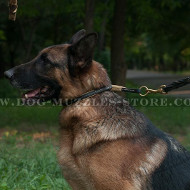 Reliable Choke Dog Collar for German Shepherd - Click Image to Close