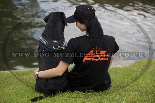 Dog Training T-Shirt for Sale