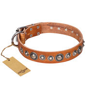 Best Studded Dog Collar FDT Artisan 'Daily Chic' Best Studded Dog Collar FDT Artisan 'Daily Chic'