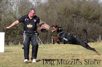 dog biting training sleeve