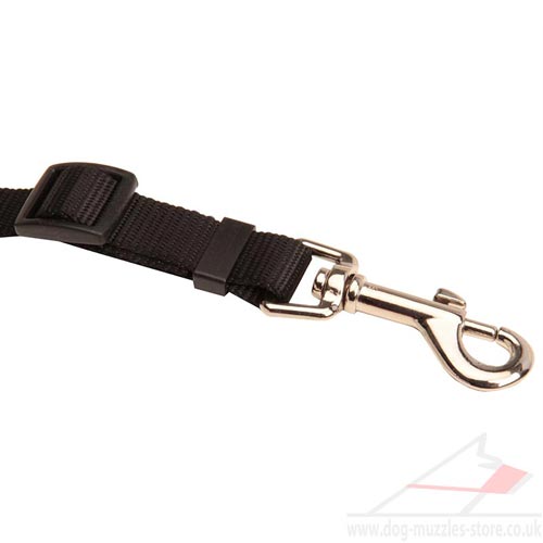Dog Car Belt
