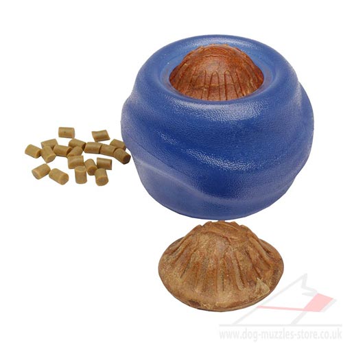 indestuctible dog toy