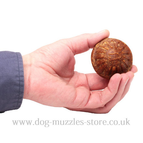 dog treat for toys for dogs