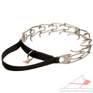 Dog Collar With Handle | Steel Collar for Dog