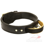 Dog Collar with Handle