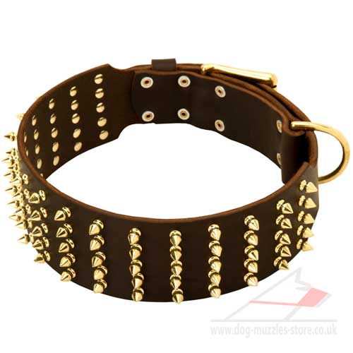 Pit Bull Terrier dog collar