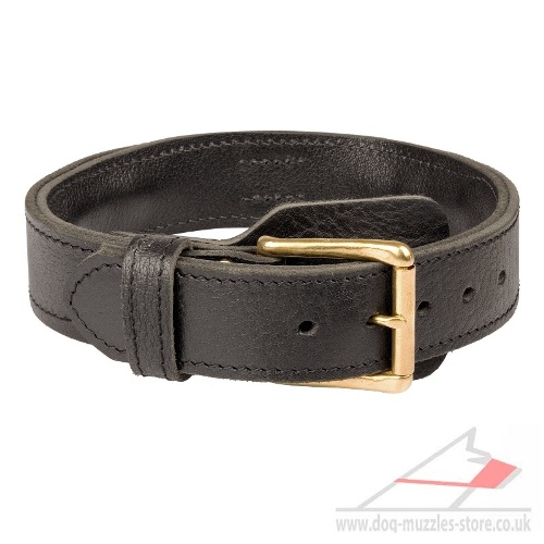 2 Ply Leather Dog Collar with Buckle