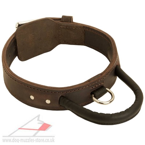 Husky Training Dog Collar with Handle