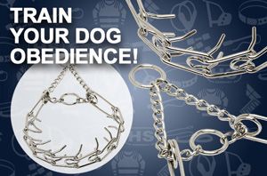 dog prong collar