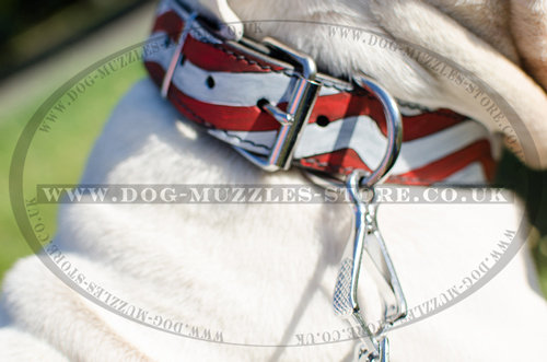 American Bulldog collar