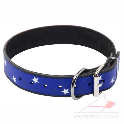 Universal dog collar made of natural leather