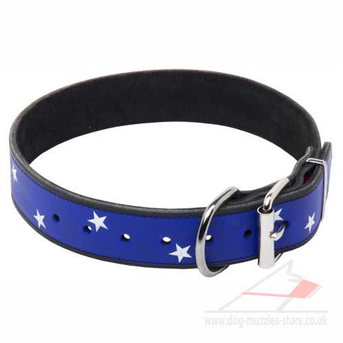 Designer Dog Collars