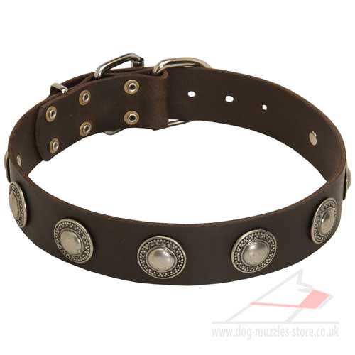 Leather dog collar