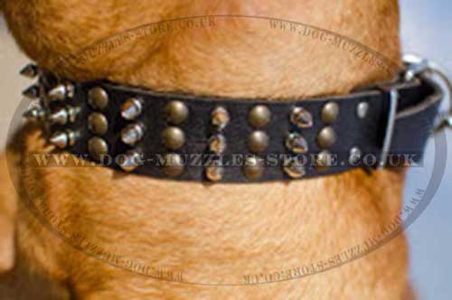 Dog De Bordo Collars UK