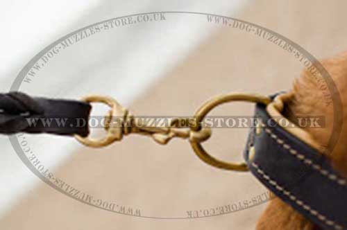 Dogue De Bordeaux collar