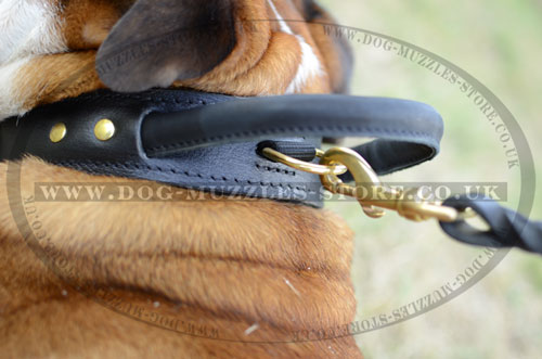 D-Ring English Bulldog Leather Collar