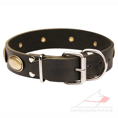 Designer dog collar made of natural leather with brass plates