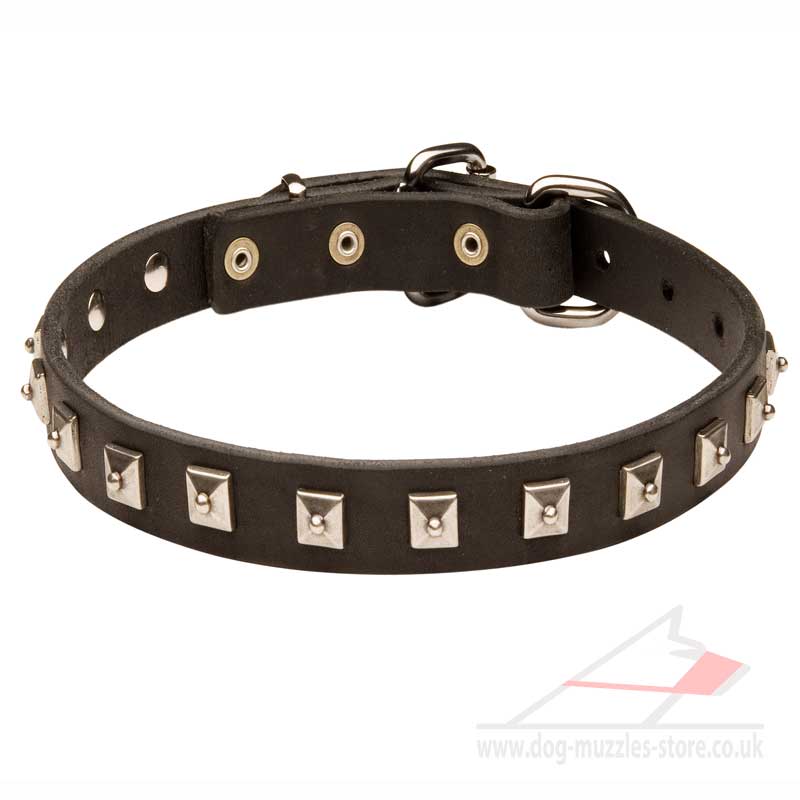 Studded online dog collars