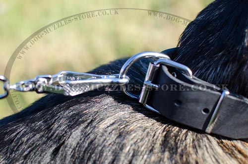 buy dog collars for German Shepherd