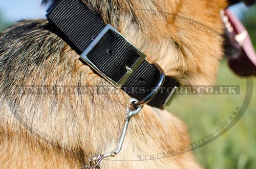 Strong Dog Collars with Buckle