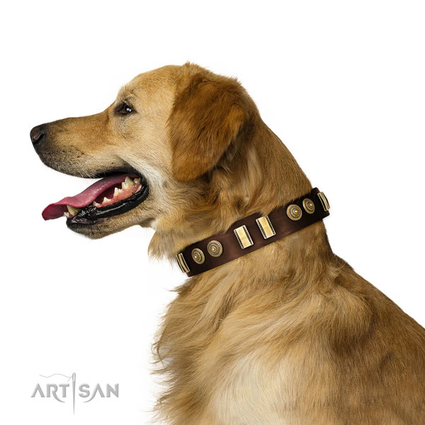 Golden Rertiever Brown Leather Collars for Dogs