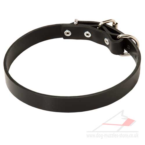 Dog collar for Pit Bull Terrier