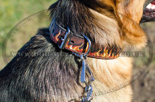 German Shepherd Collars