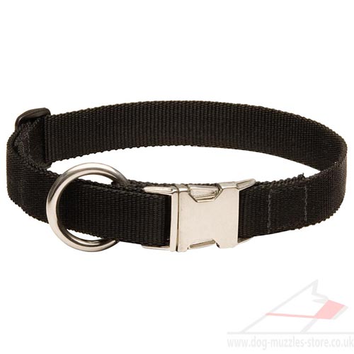 nylon collars for dogs