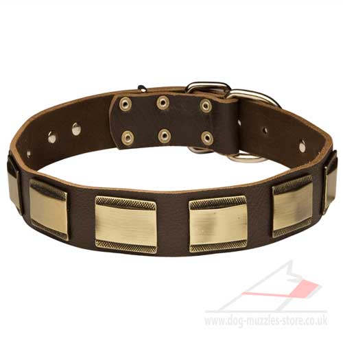 Leather collar