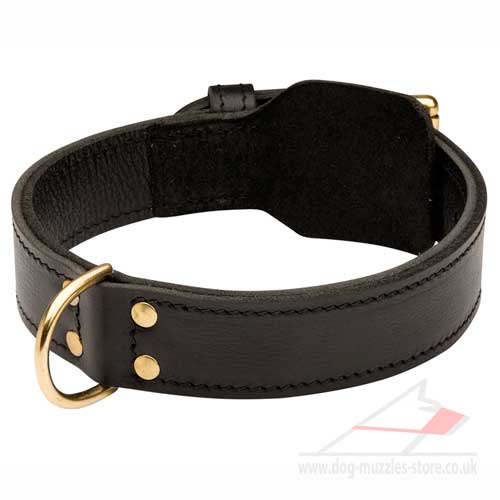 Strong Leather Dog Collar