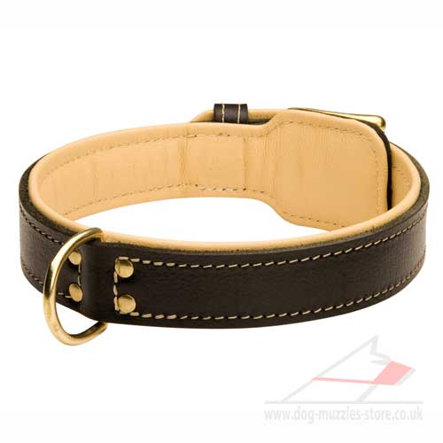 Soft Leather Dog Collar Padded