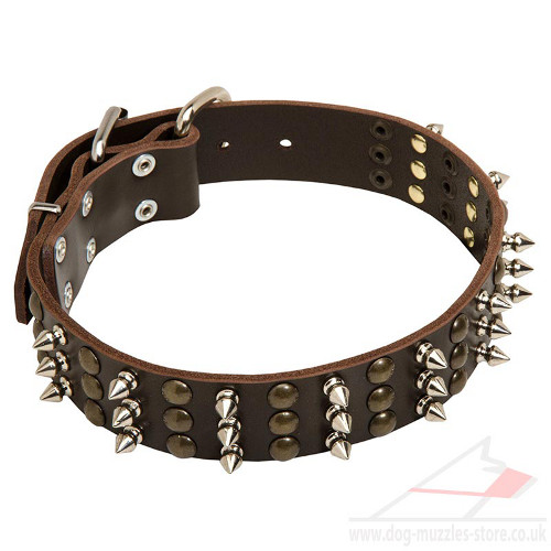 Spiked Designer Dog Collar