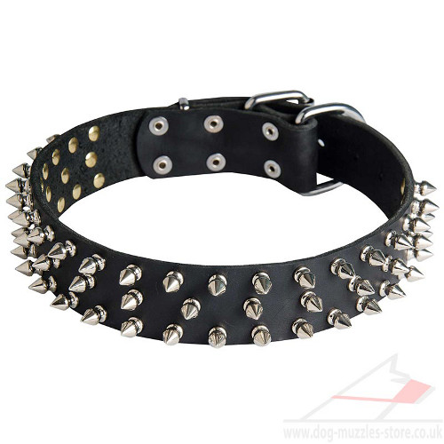 Spiked Dog Collar