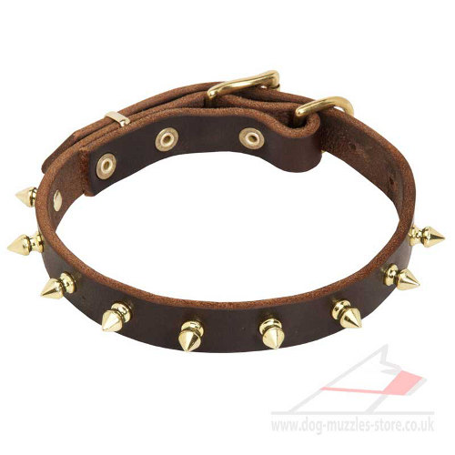 Universal dog collar made of natural leather