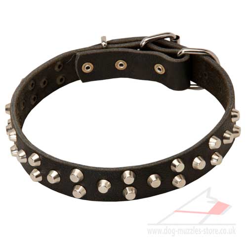 Leather dog collar