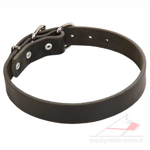 Leather dog collar