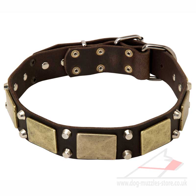 best collar for puppy best collar design gsd collar with brass plates best collar for puppy best collar design gsd collar with brass plates