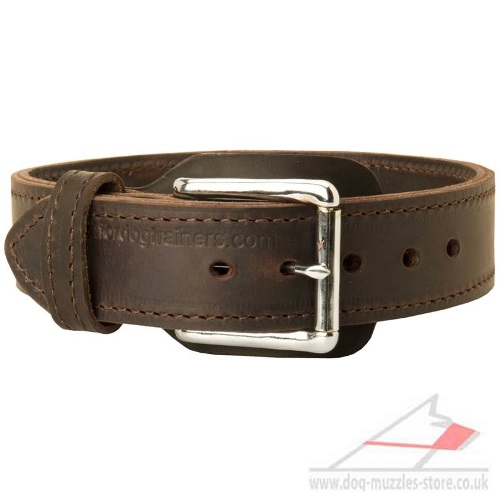 Dog collar with handle