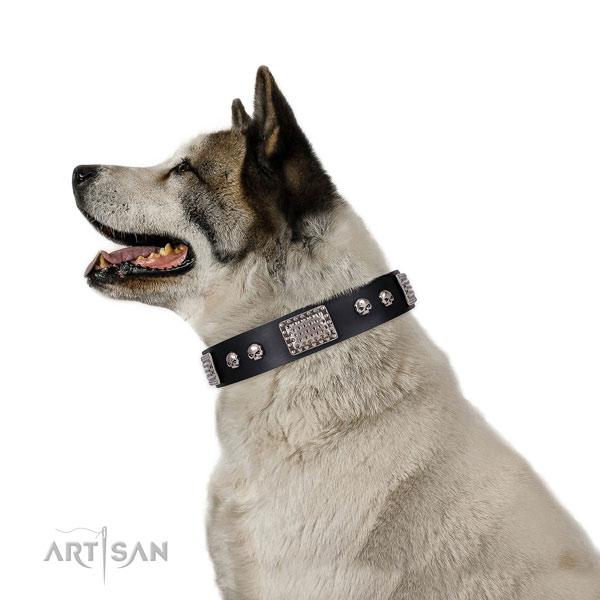 Akita Inu dog collar for sale