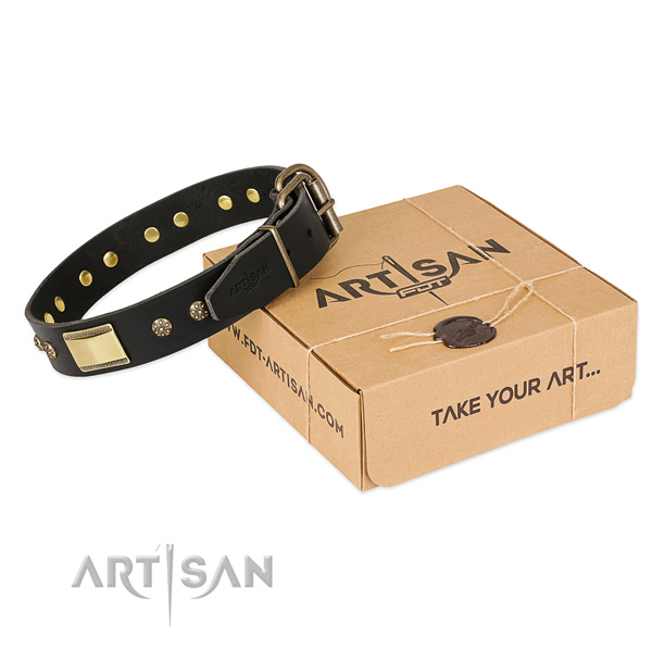 Leather Collar for Dogs buy uk