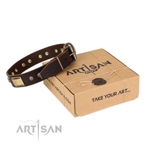 Leather Collar for Dogs buy uk