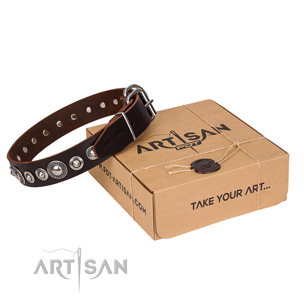 Leather Collar for Dogs buy uk