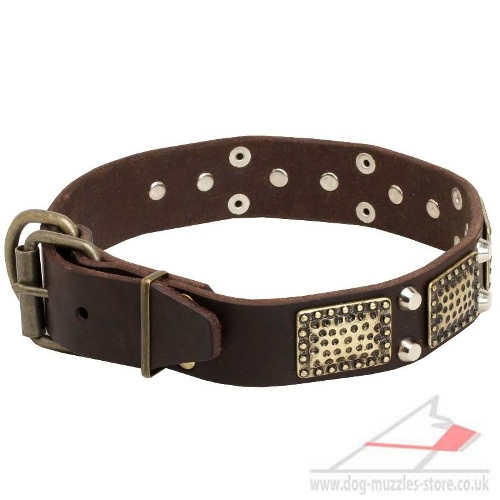 Great Dog Collar for Sale