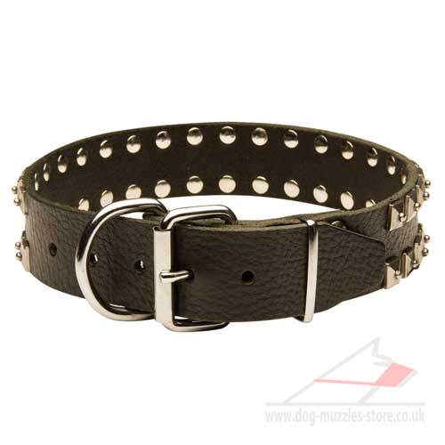 Studded dog collar