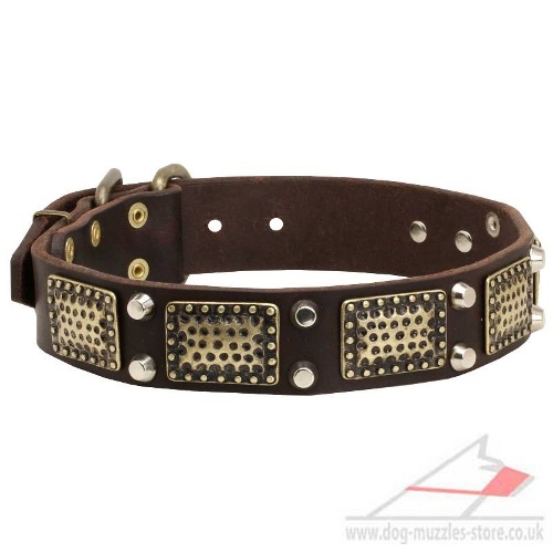 Great Dog Collar for Sale